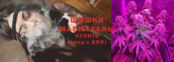 спайс Дмитриев